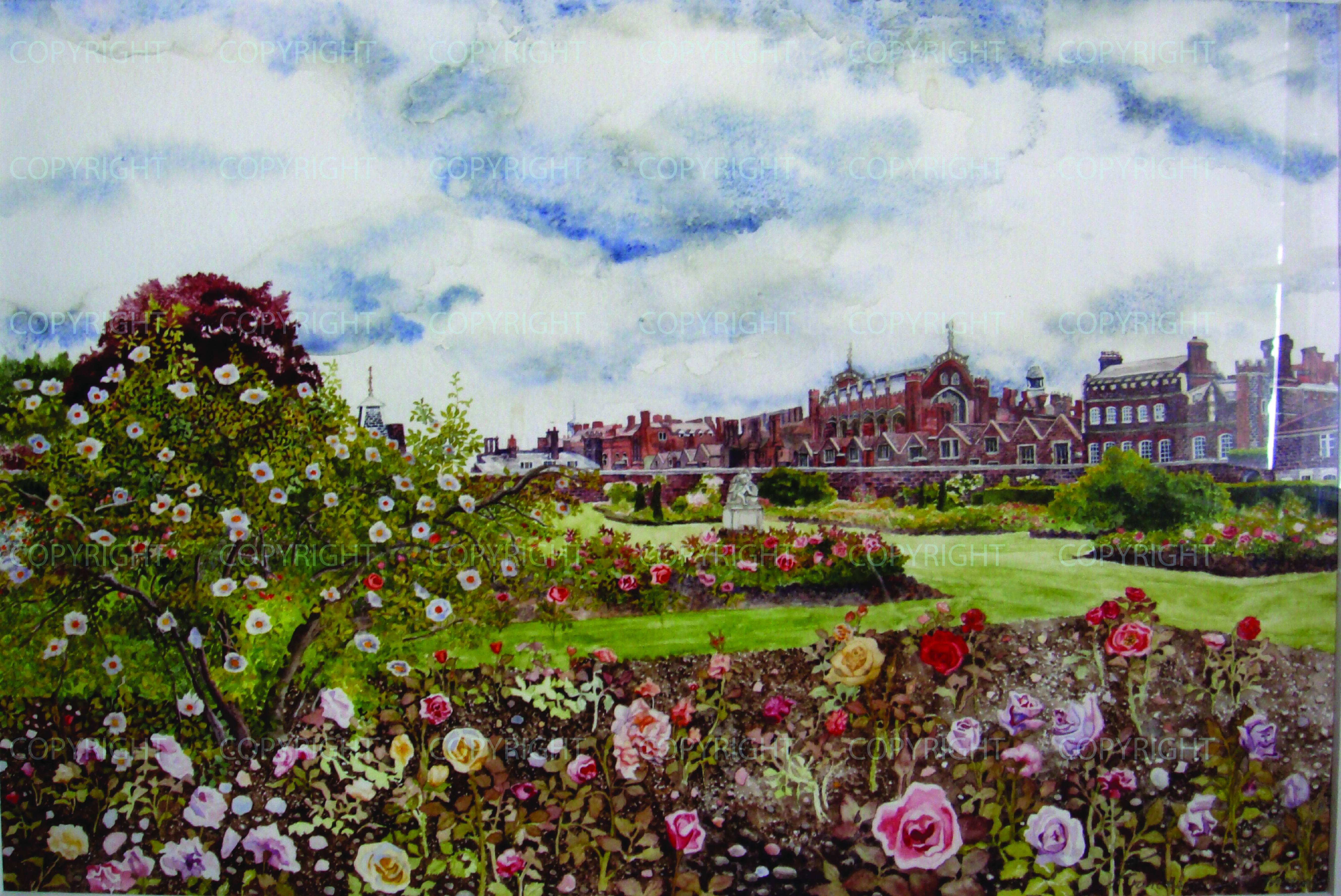 Hampton Court Rose Garden