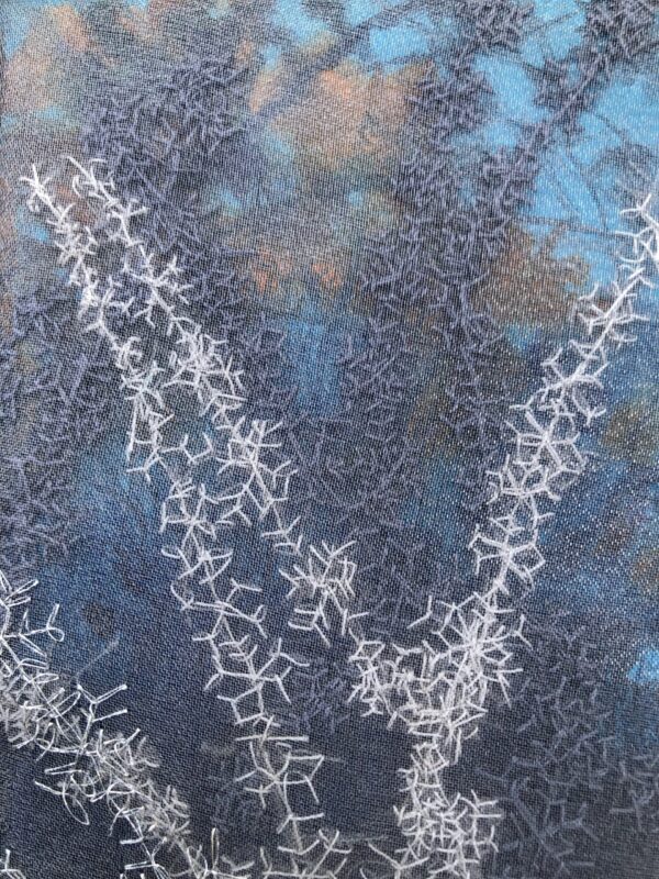 Frost On A Window Pane (Detail 1)