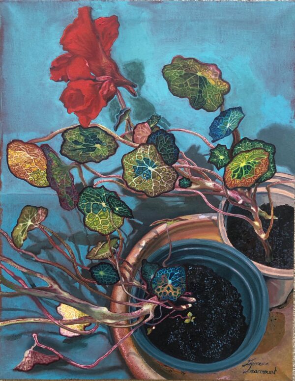 Nasturtiums 1