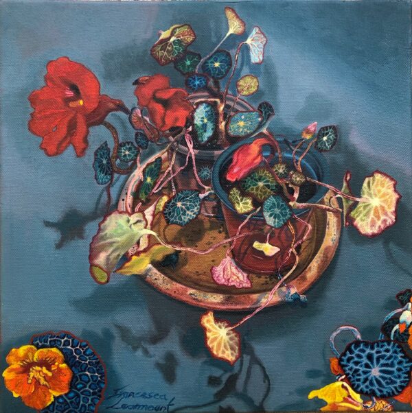 Nasturtiums 2