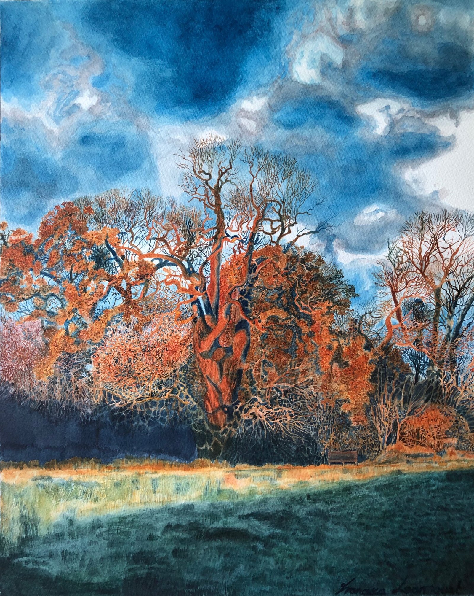 Autumn Walk, Bushy Park. Autumn Walk, Bushy Park.